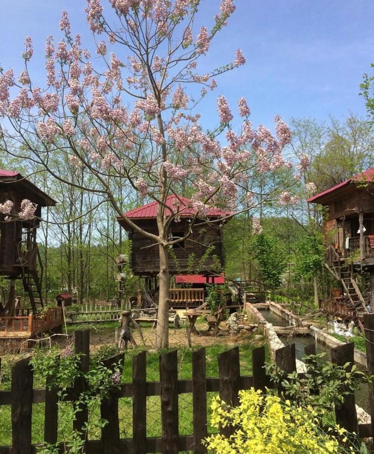 Zeni De Vore Serender & House Aparthotel Rize Exterior foto